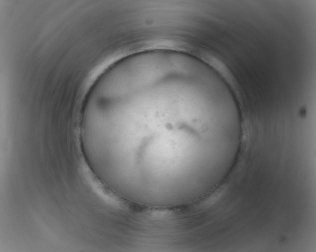 X0000115201043200911251438