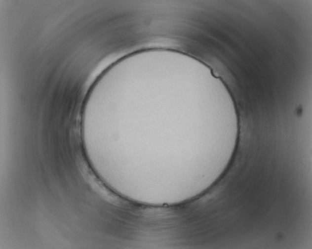 X0000115201044200911251438