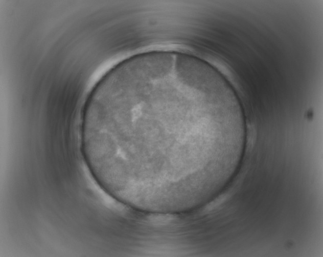 X0000115201046200911251438