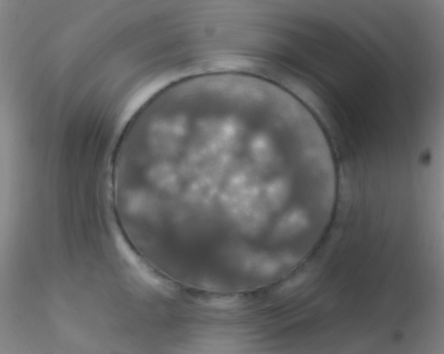X0000115201047200911251438
