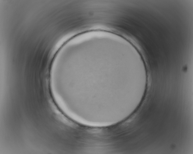 X0000115201048200911251438