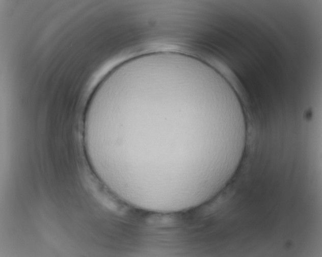X0000115201051200911251438
