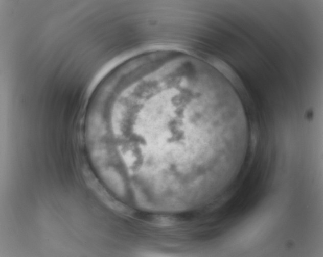 X0000115201052200911251438