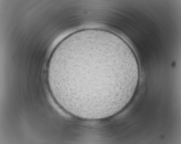X0000115201053200911251438
