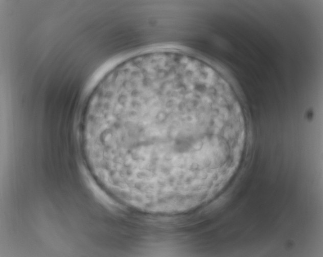 X0000115201054200911251438