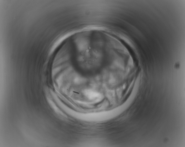 X0000115201055200911251438