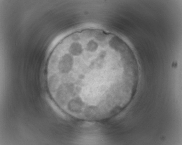 X0000115201056200911251438