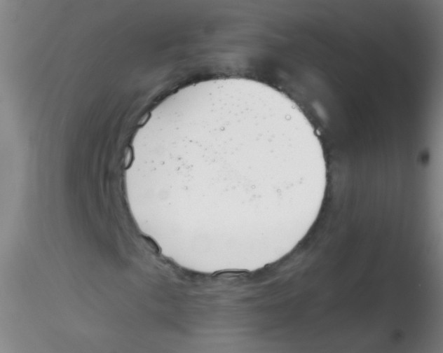 X0000115201057200911251438