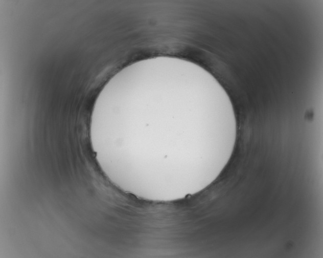 X0000115201058200911251438