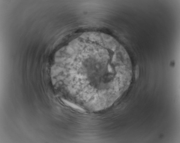 X0000115201059200911251438