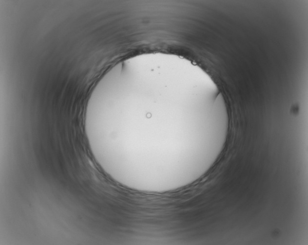 X0000115201060200911251438