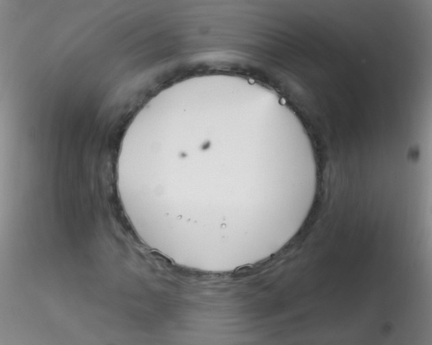 X0000115201062200911251438
