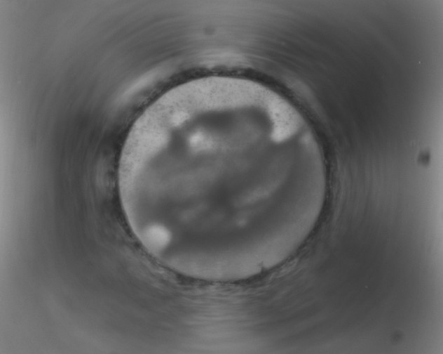 X0000115201063200911251438