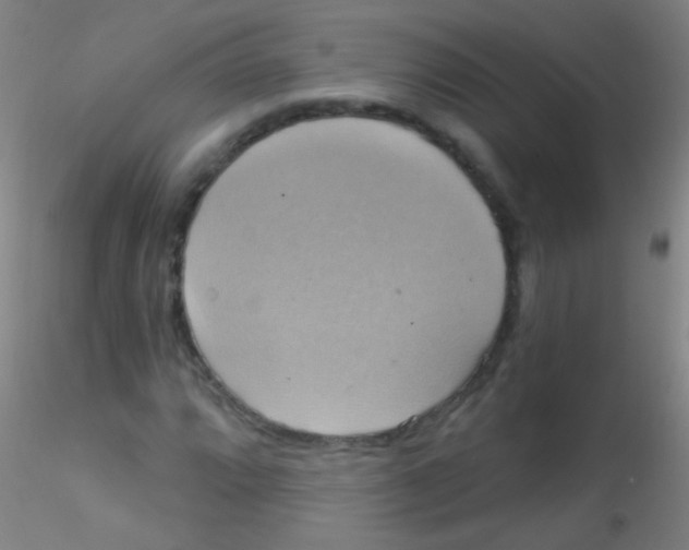 X0000115201064200911251438