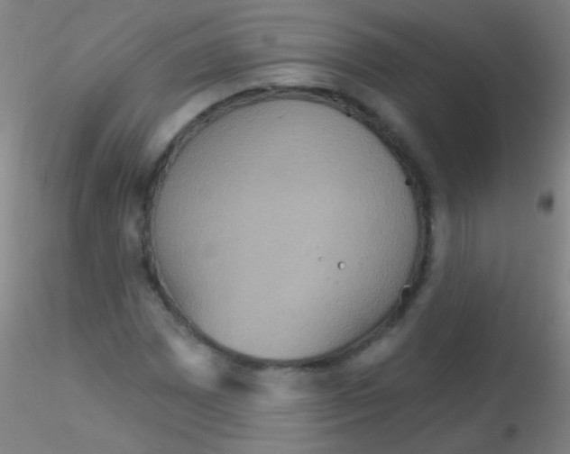 X0000115201065200911251438