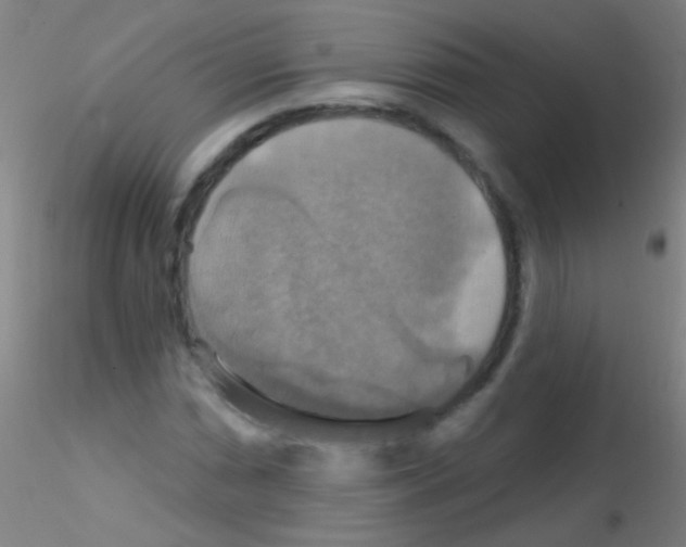 X0000115201066200911251438