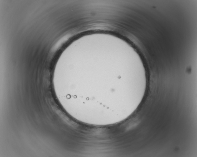 X0000115201067200911251438