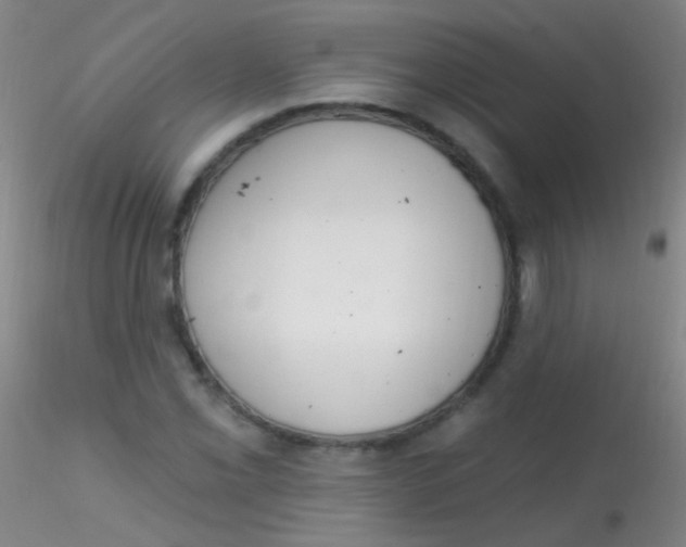X0000115201069200911251437