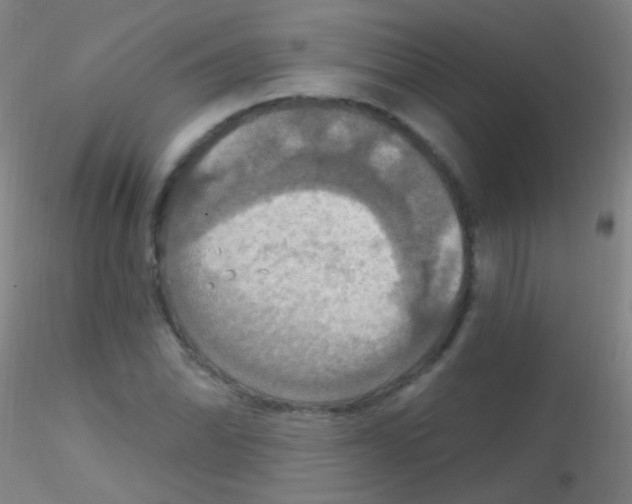 X0000115201070200911251437
