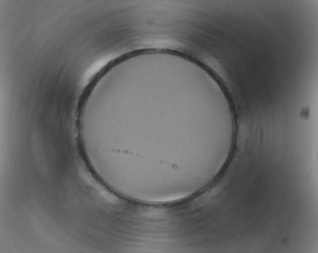 X0000115201071200911251437