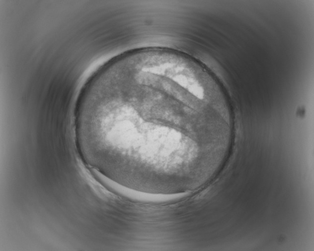 X0000115201072200911251437