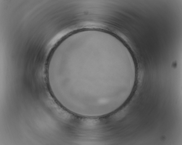 X0000115201074200911251437