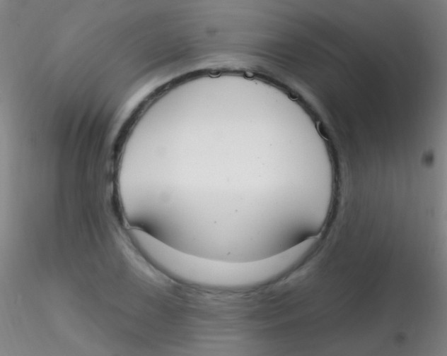 X0000115201075200911251437