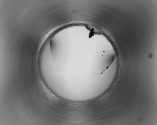 X0000115201076200911251437