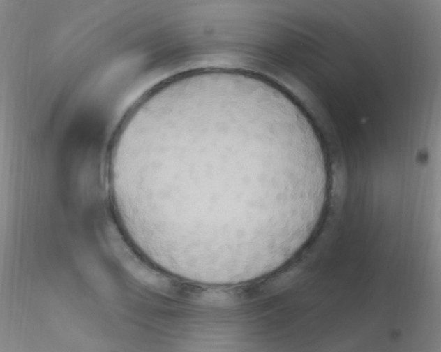 X0000115201078200911251437
