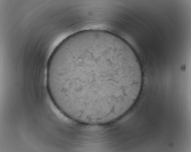X0000115201079200911251437