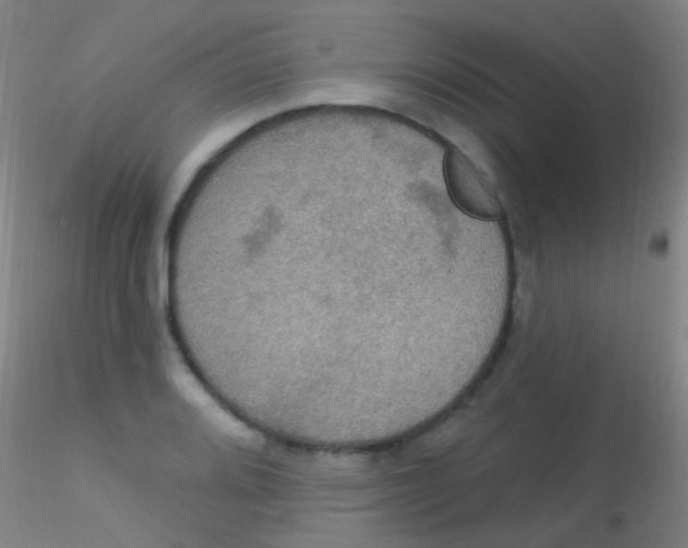 X0000115201080200911251437