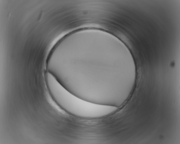 X0000115201084200911251437