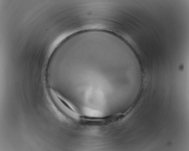X0000115201086200911251437