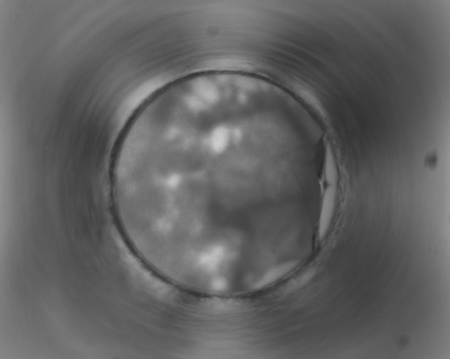 X0000115201087200911251437