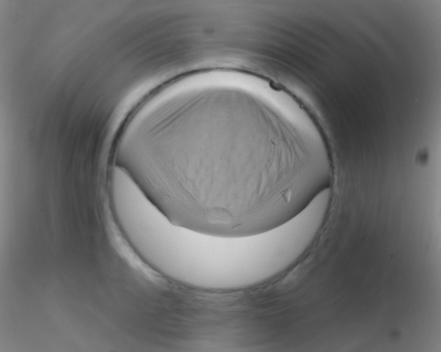 X0000115201088200911251437