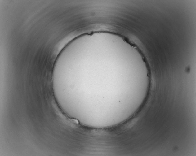 X0000115201089200911251437