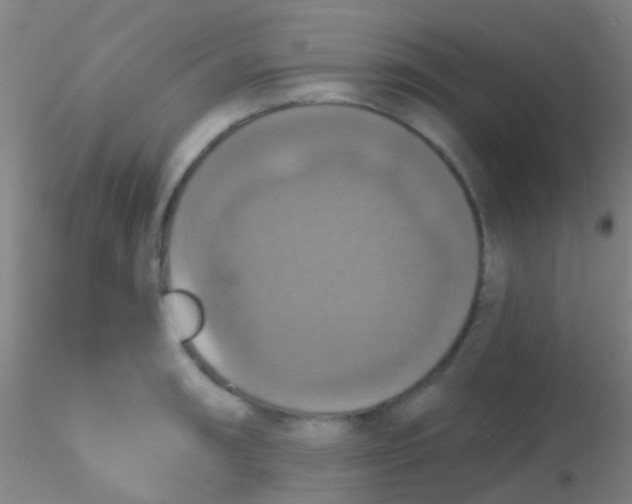 X0000115201090200911251437