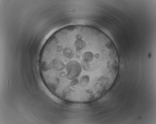 X0000115201091200911251437
