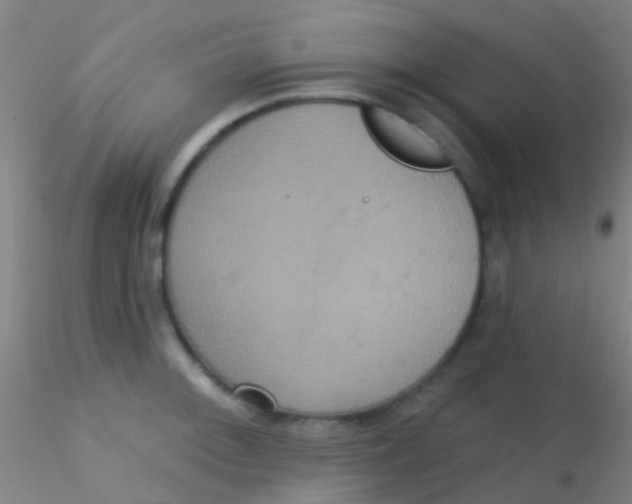 X0000115201092200911251437