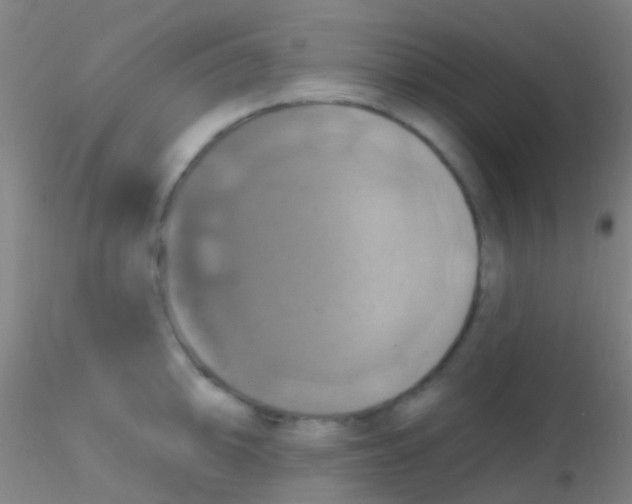 X0000115201094200911251437