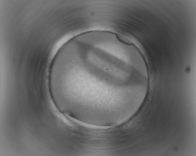 X0000115201096200911251437
