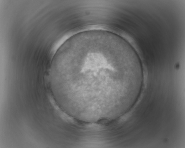 X0000115201097200911251437