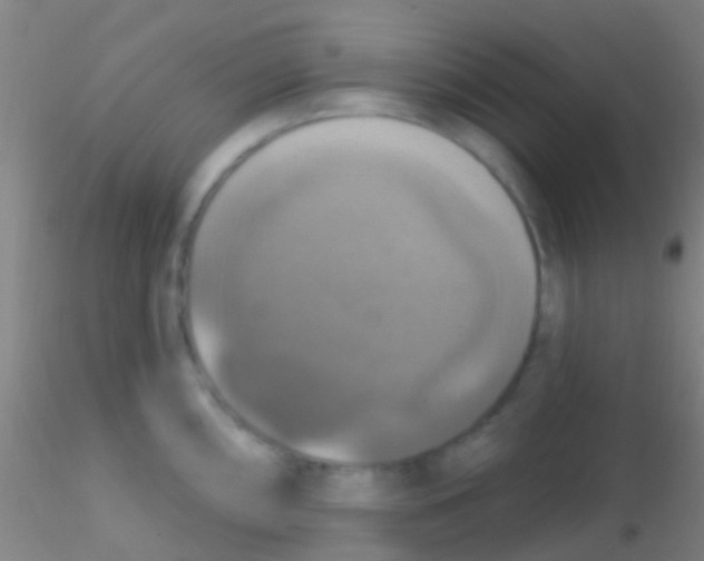 X0000115201098200911251437
