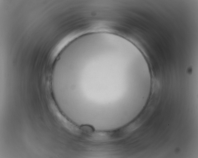 X0000115201101200911251437