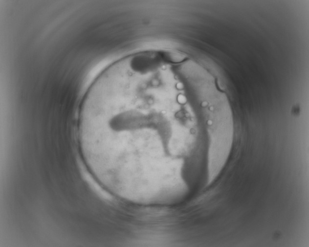 X0000115201103200911251437