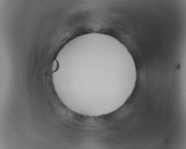 X0000115201105200911251436