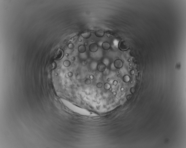 X0000115201106200911251436