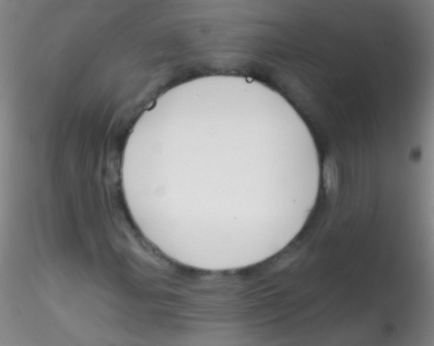 X0000115201107200911251436