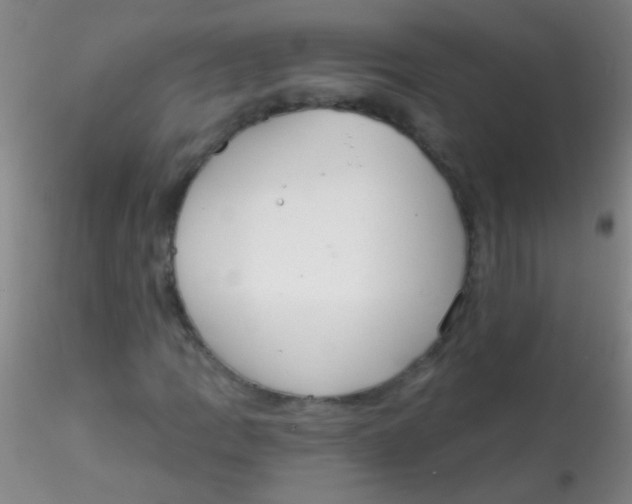 X0000115201109200911251436