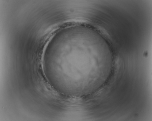 X0000115201110200911251436